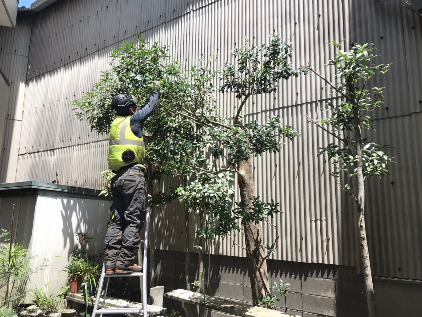 LINE_ALBUM_杉島邸　中央区大江_230719_3